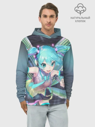 Худи мужской база хлопок / Song