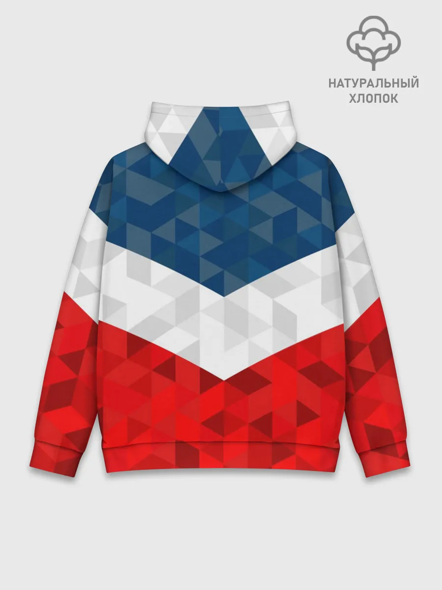 Худи мужской база хлопок / Форма России