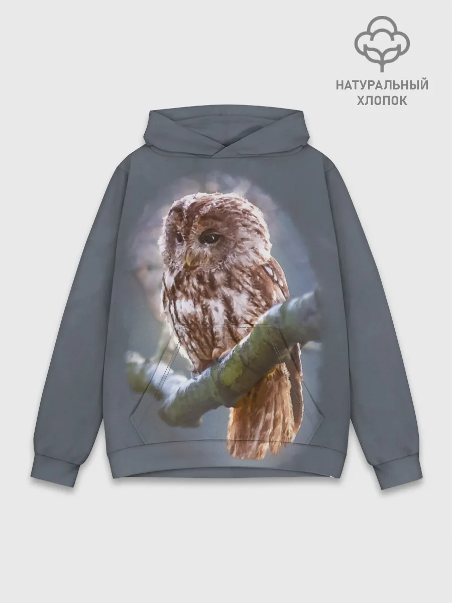 Худи мужской база хлопок / Сова
