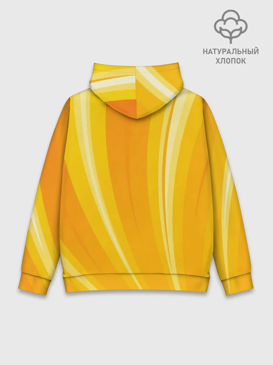 Худи мужской база хлопок / The Sims