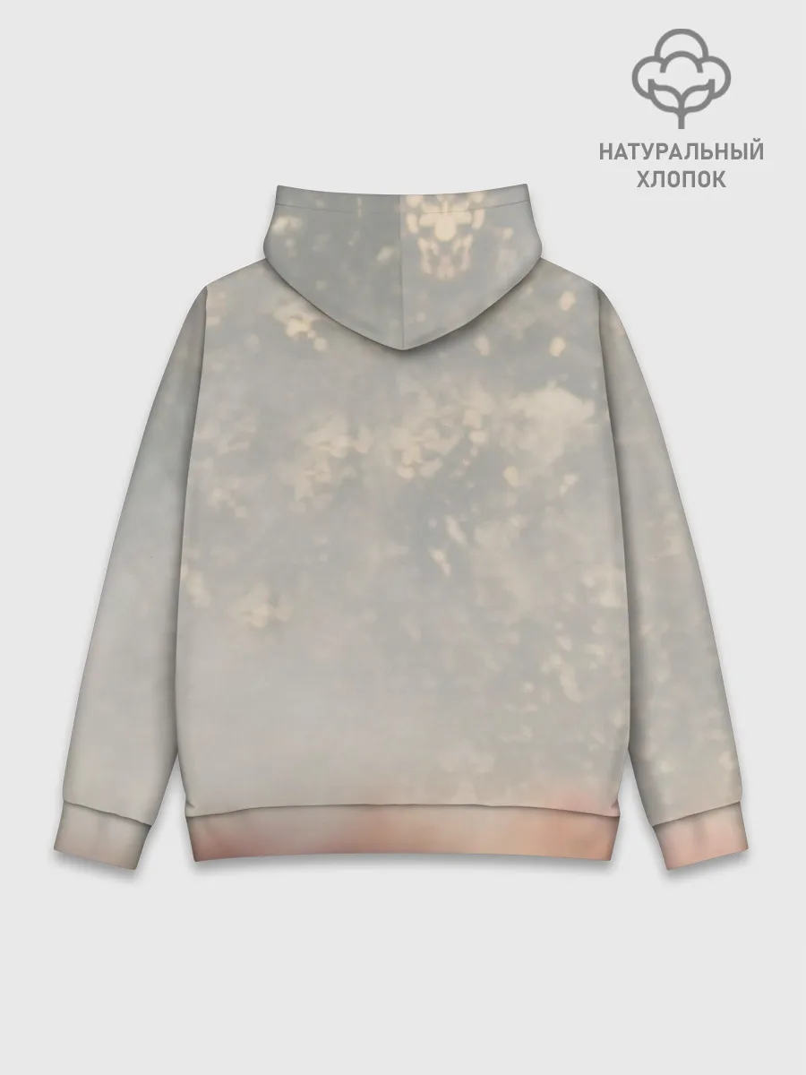 Худи мужской база хлопок / Нейромонах Феофан