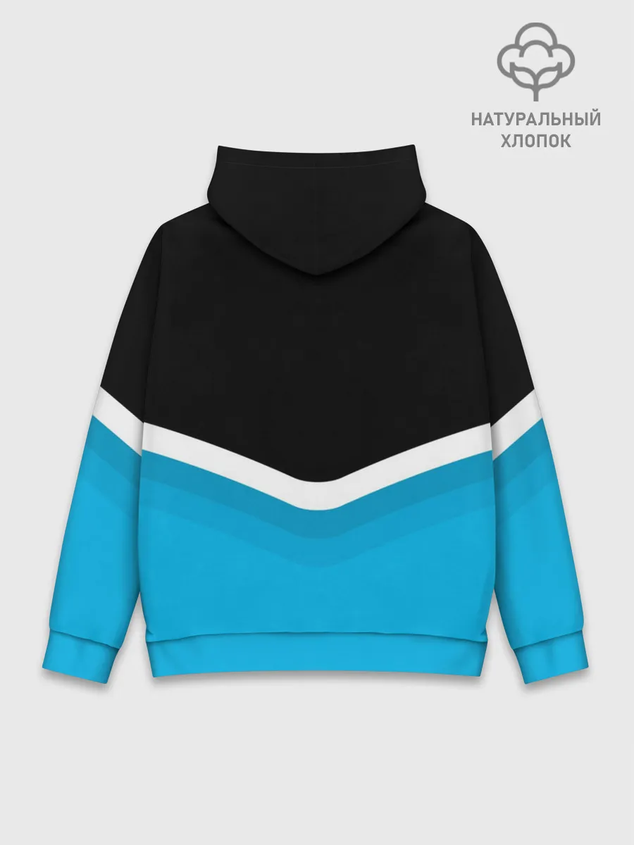 Худи мужской база хлопок / BMW Black & Blue