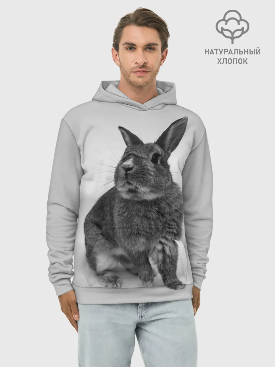 Худи мужской база хлопок / Кролик