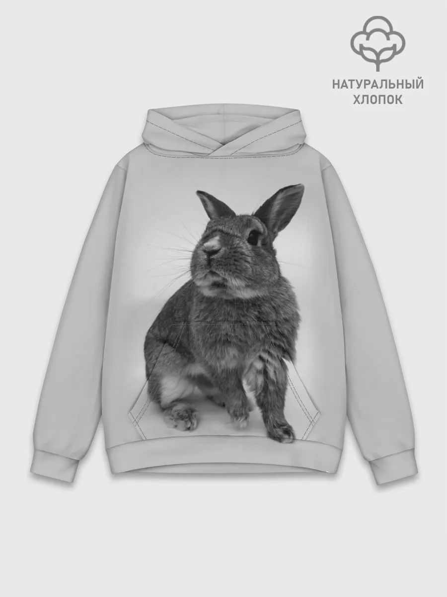 Худи мужской база хлопок / Кролик