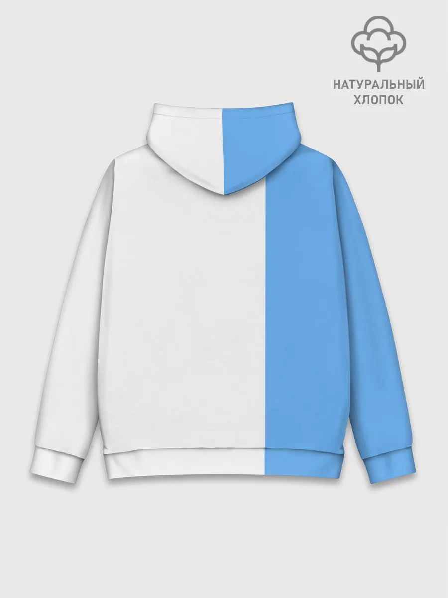 Худи мужской база хлопок / Маляр