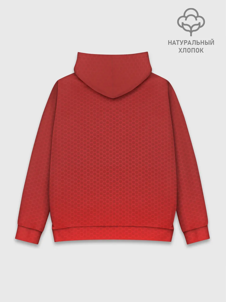 Худи мужской база хлопок / Тренер