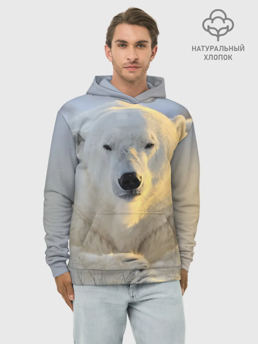 Худи мужской база хлопок / Медведь