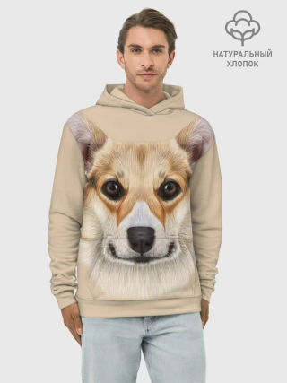 Худи мужской база хлопок / Pembroke