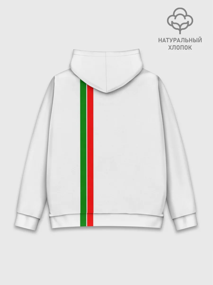 Худи мужской база хлопок / Республика Татарстан