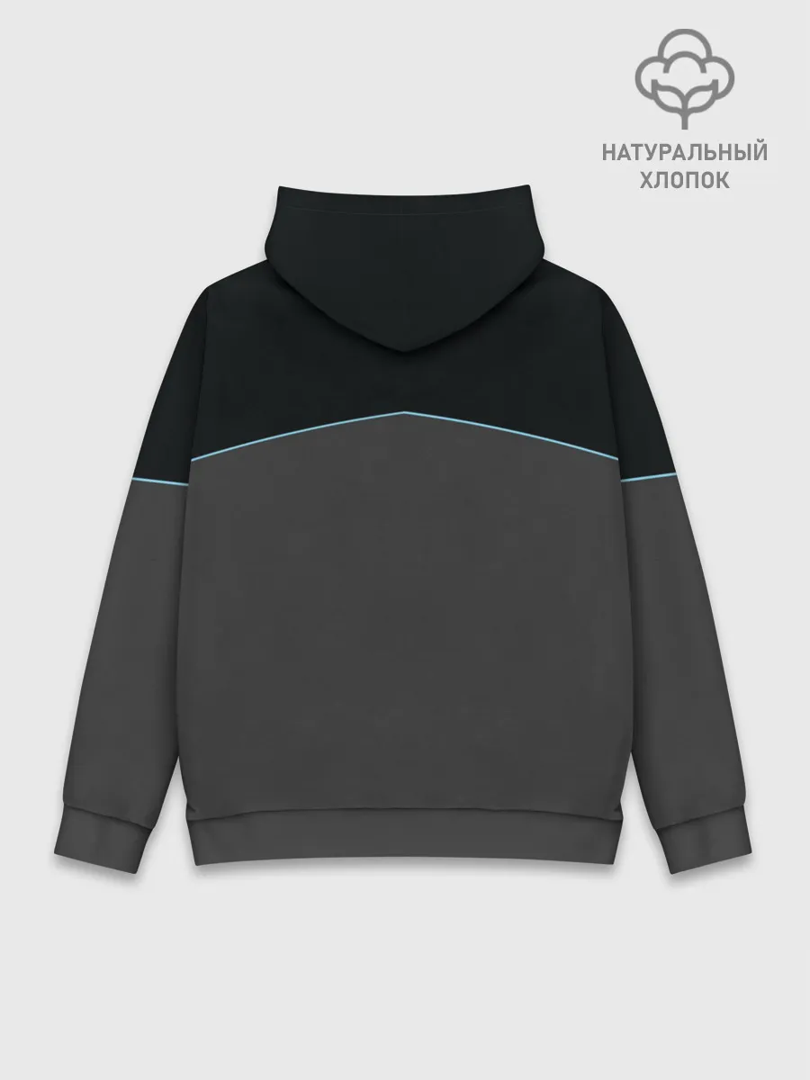 Худи мужской база хлопок / Detroit – AX400