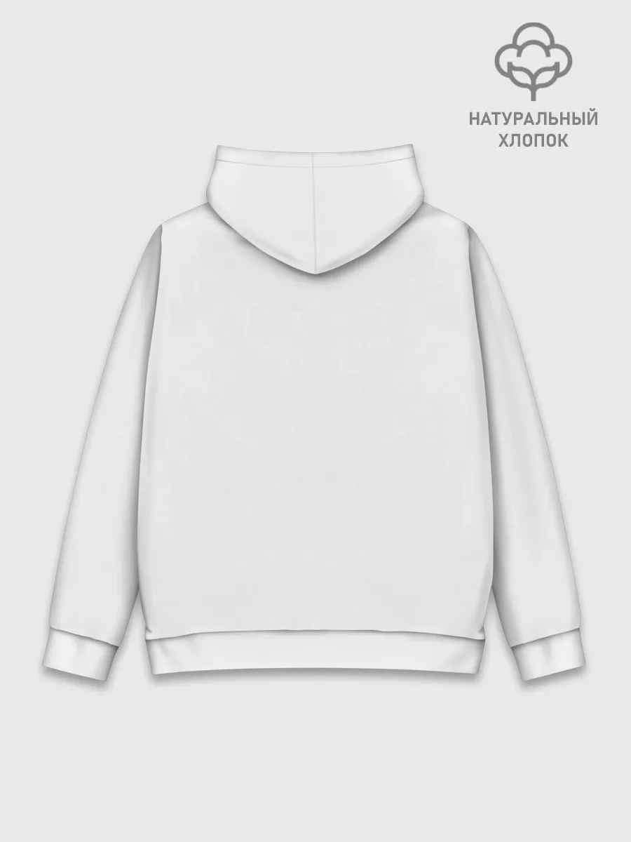 Худи мужской база хлопок / Тоторо спит