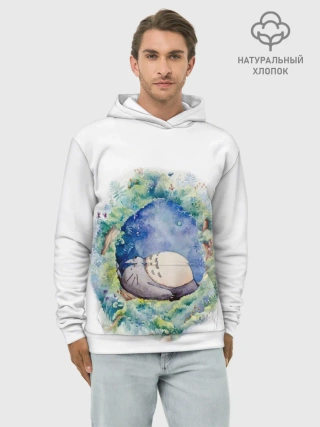 Худи мужской база хлопок / Тоторо спит