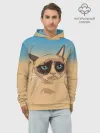 Худи мужской база хлопок / Grumpy cat ART