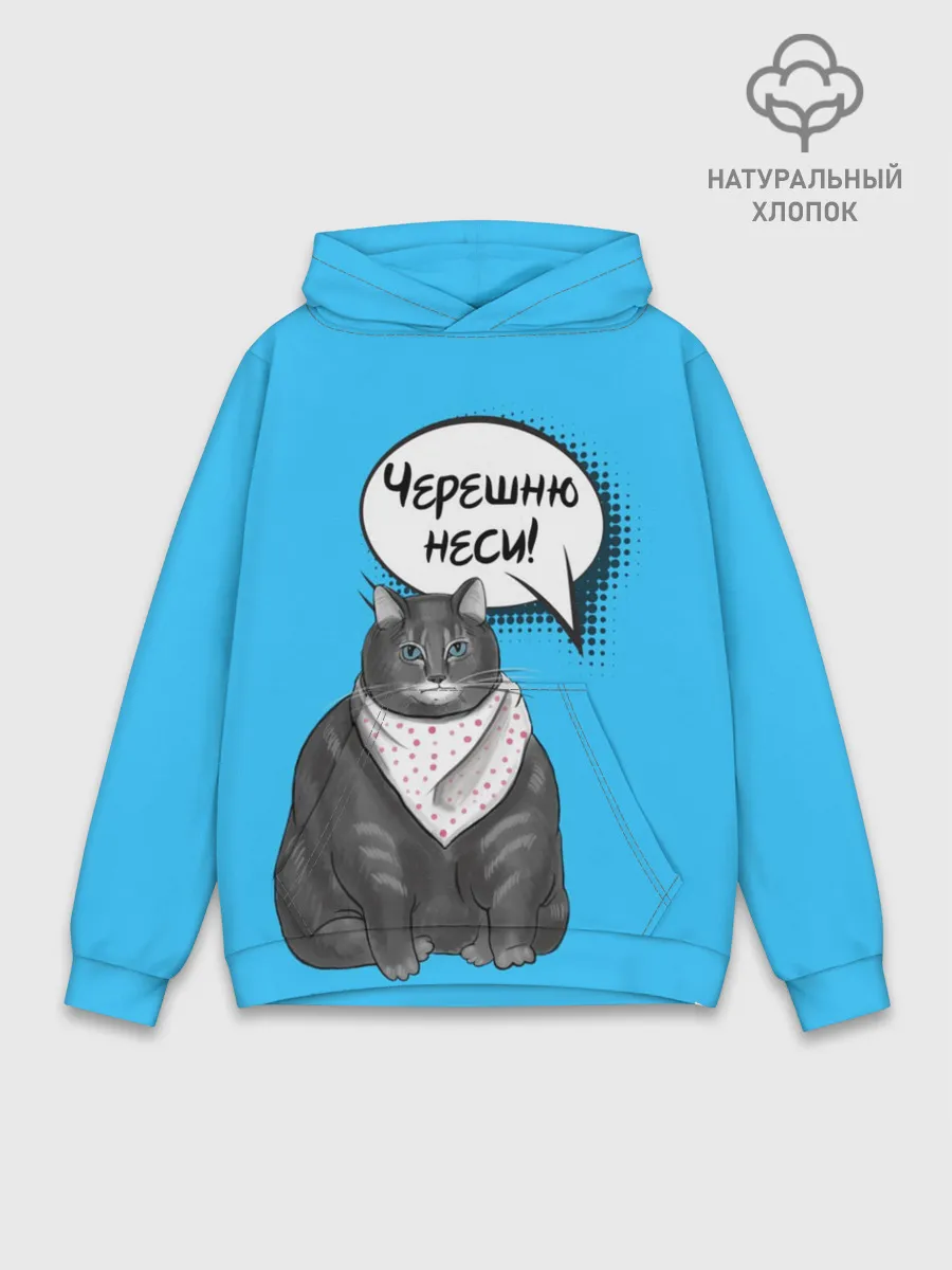Худи мужской база хлопок / Толстый кот