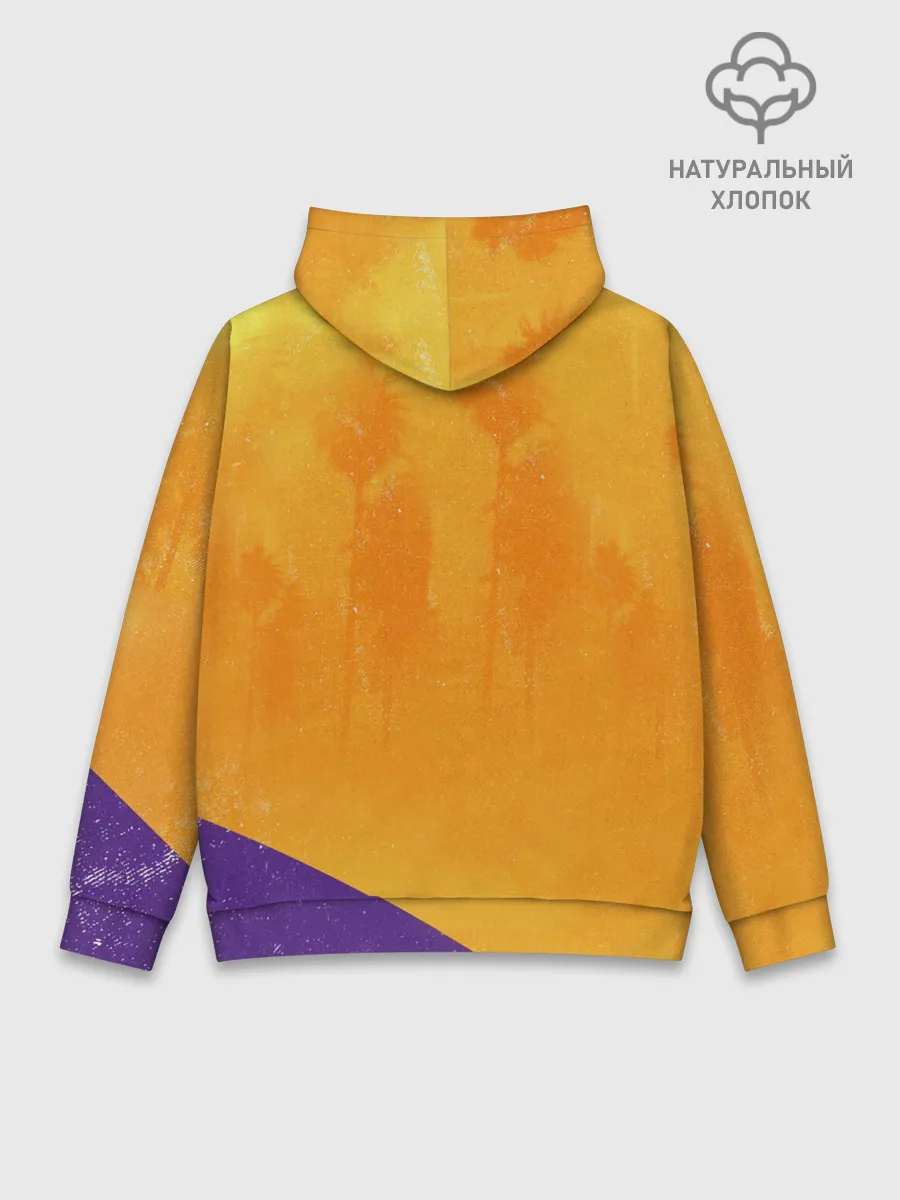 Худи мужской база хлопок / Lebron