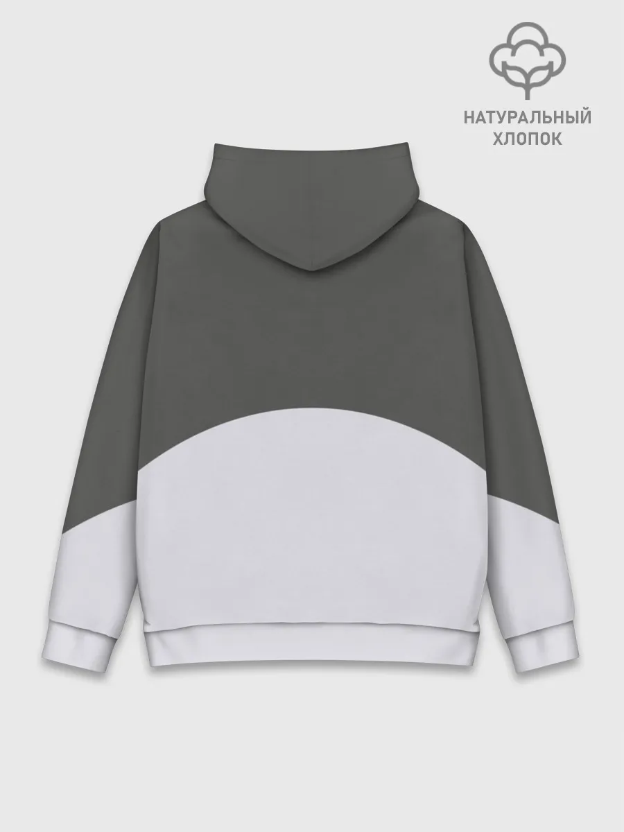 Худи мужской база хлопок / Большой Тоторо