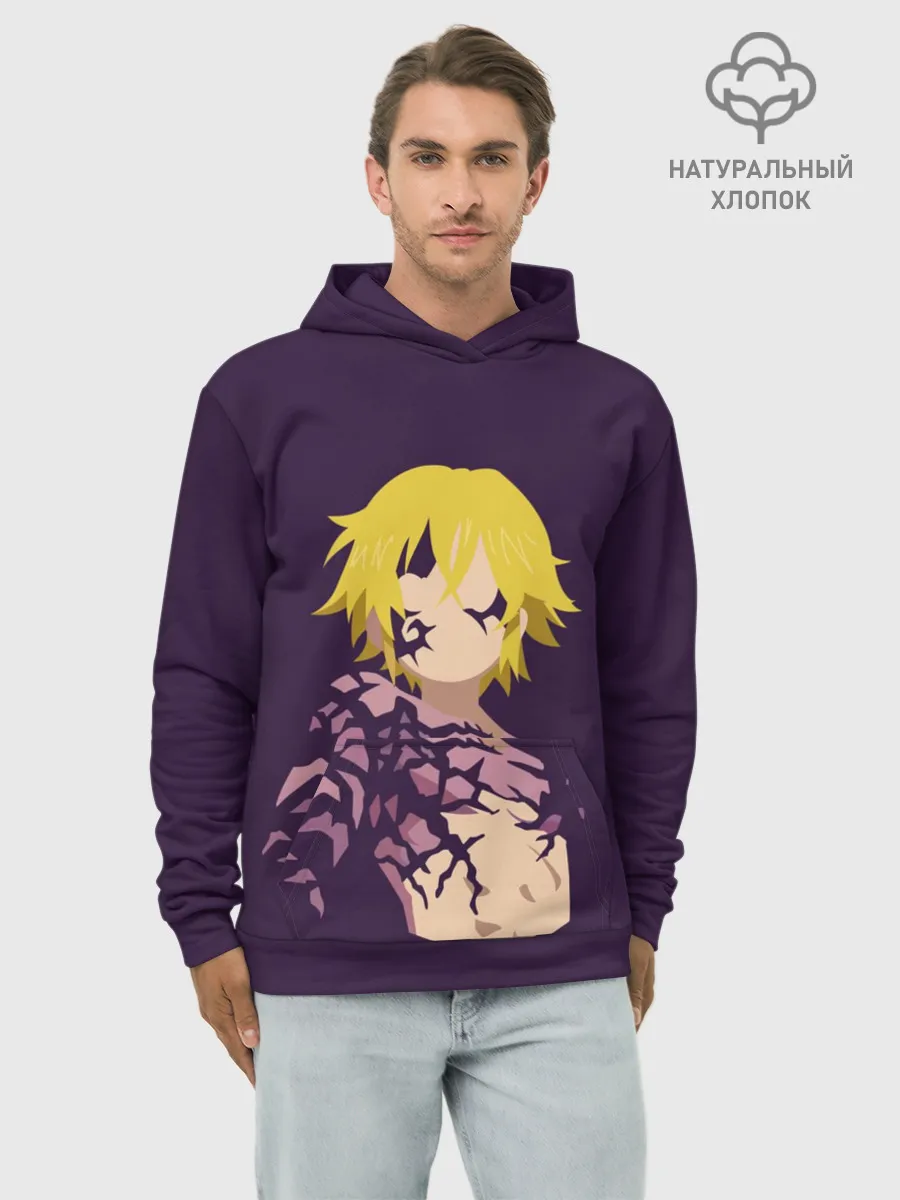 Худи мужской база хлопок / Мелиодас