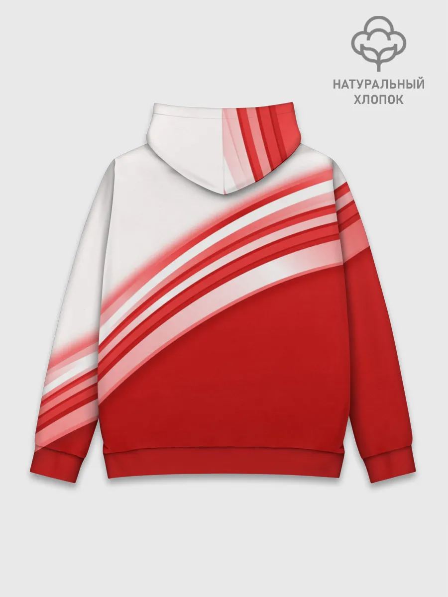 Худи мужской база хлопок / RUSSIA SPORT