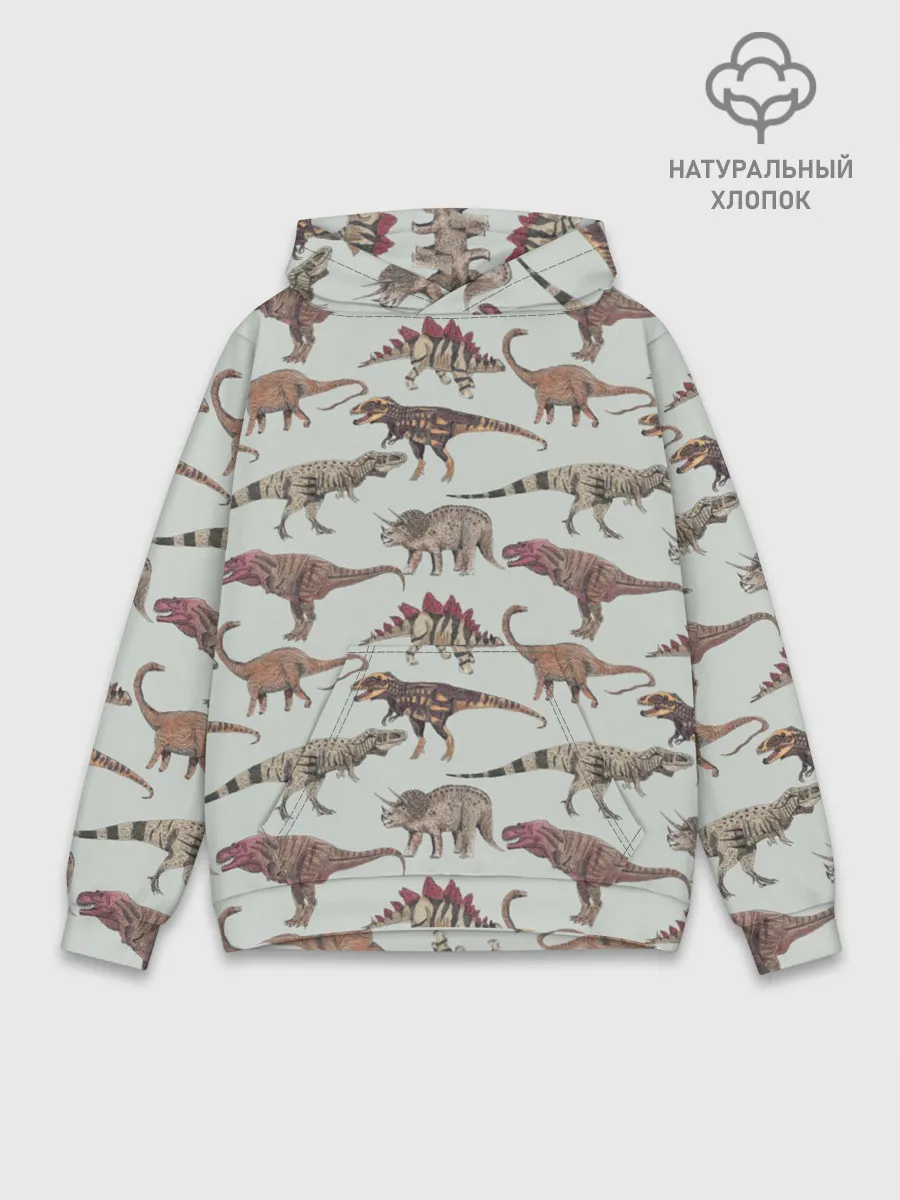 Худи мужской база хлопок / Динозавры