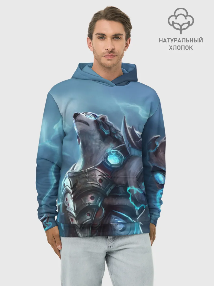 Худи мужской база хлопок / Северный король