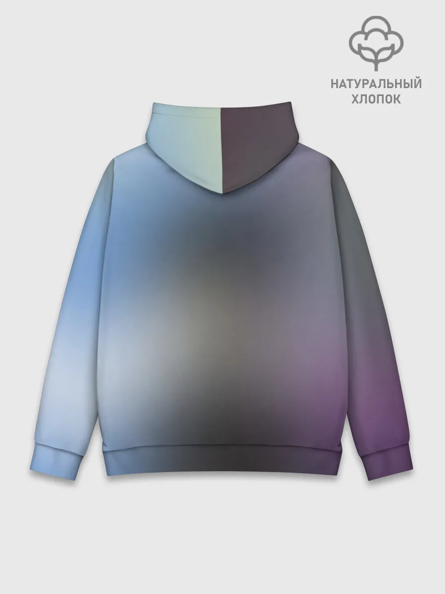 Худи мужской база хлопок / Моб