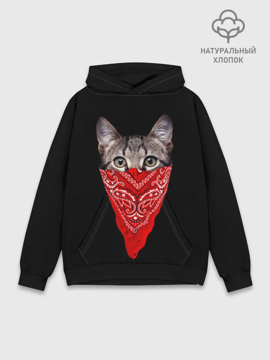 Худи мужской база хлопок / Gangsta Cat