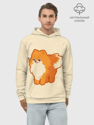 Худи мужской база хлопок / Шпиц