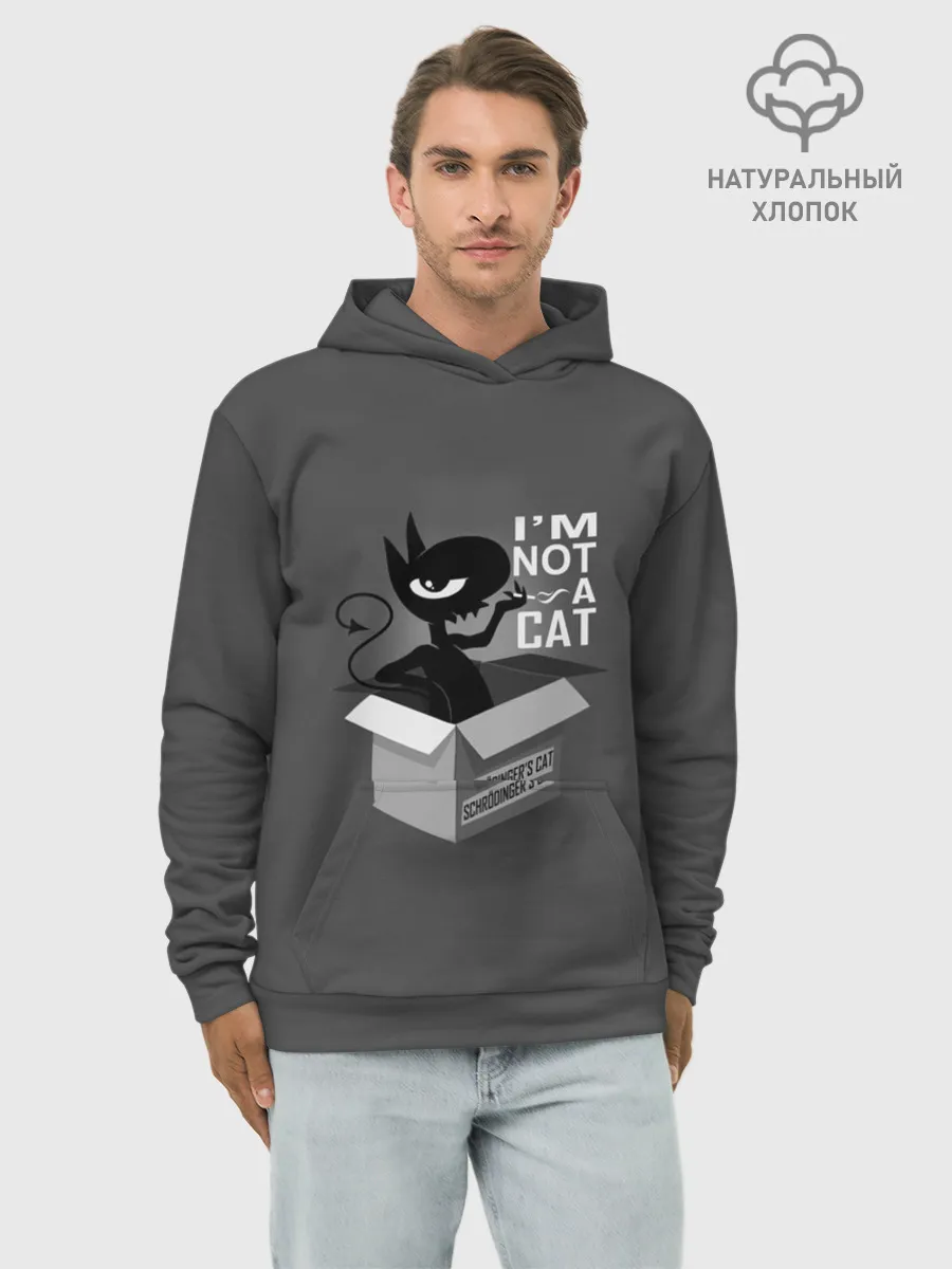 Худи мужской база хлопок / Disenchantment. Im not a Cat