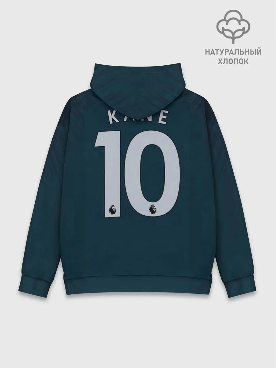 Худи мужской база хлопок / Kane alternative 18-19