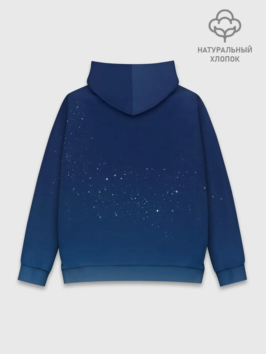 Худи мужской база хлопок / NASA