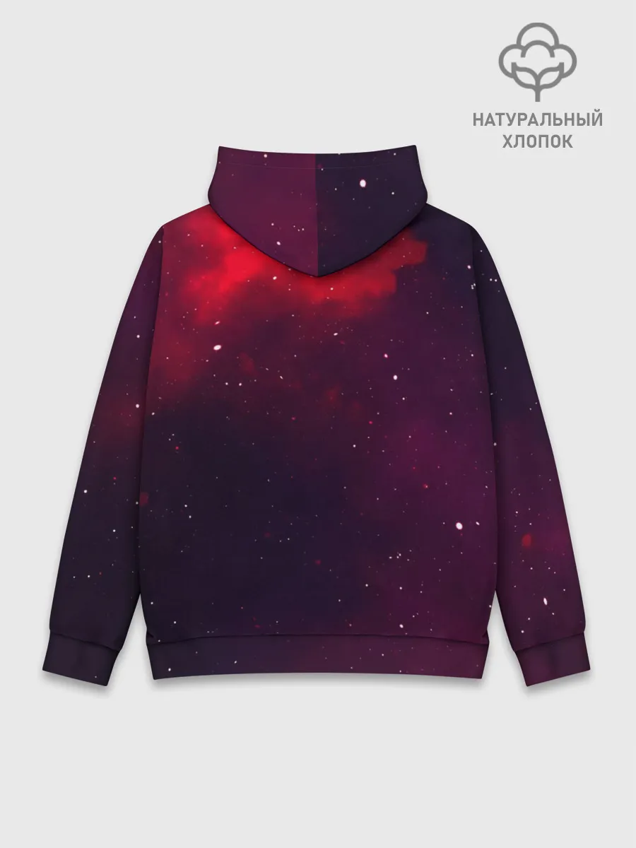 Худи мужской база хлопок / Elon Reeve Musk