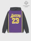 Худи мужской база хлопок / James LA Lakers 2019