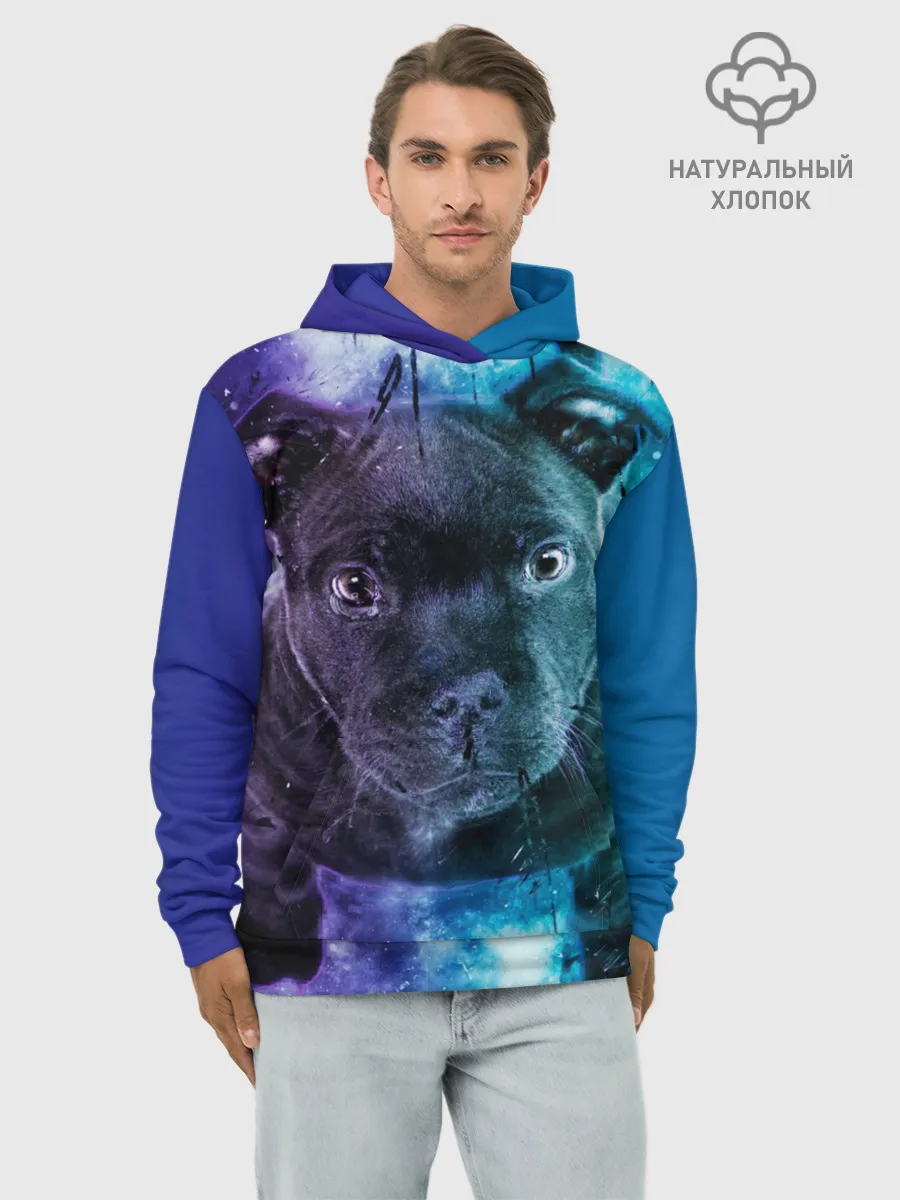 Худи мужской база хлопок / Милый пёс