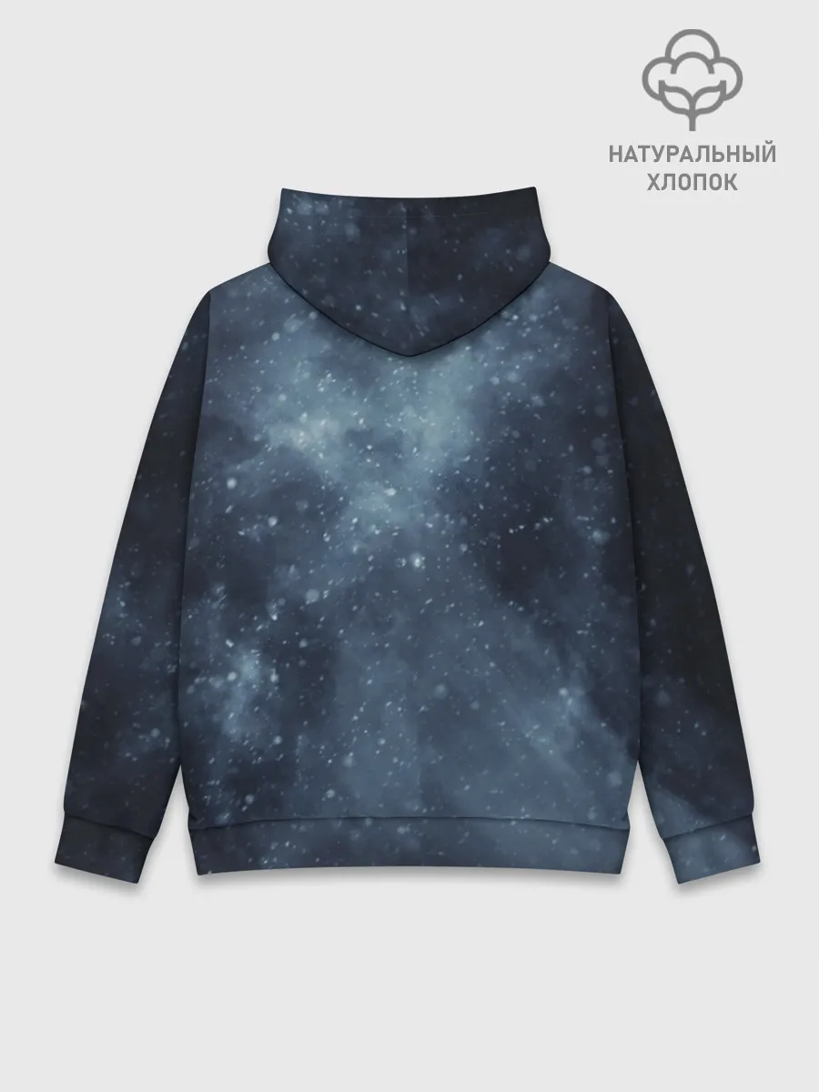 Худи мужской база хлопок / Пошлая Молли