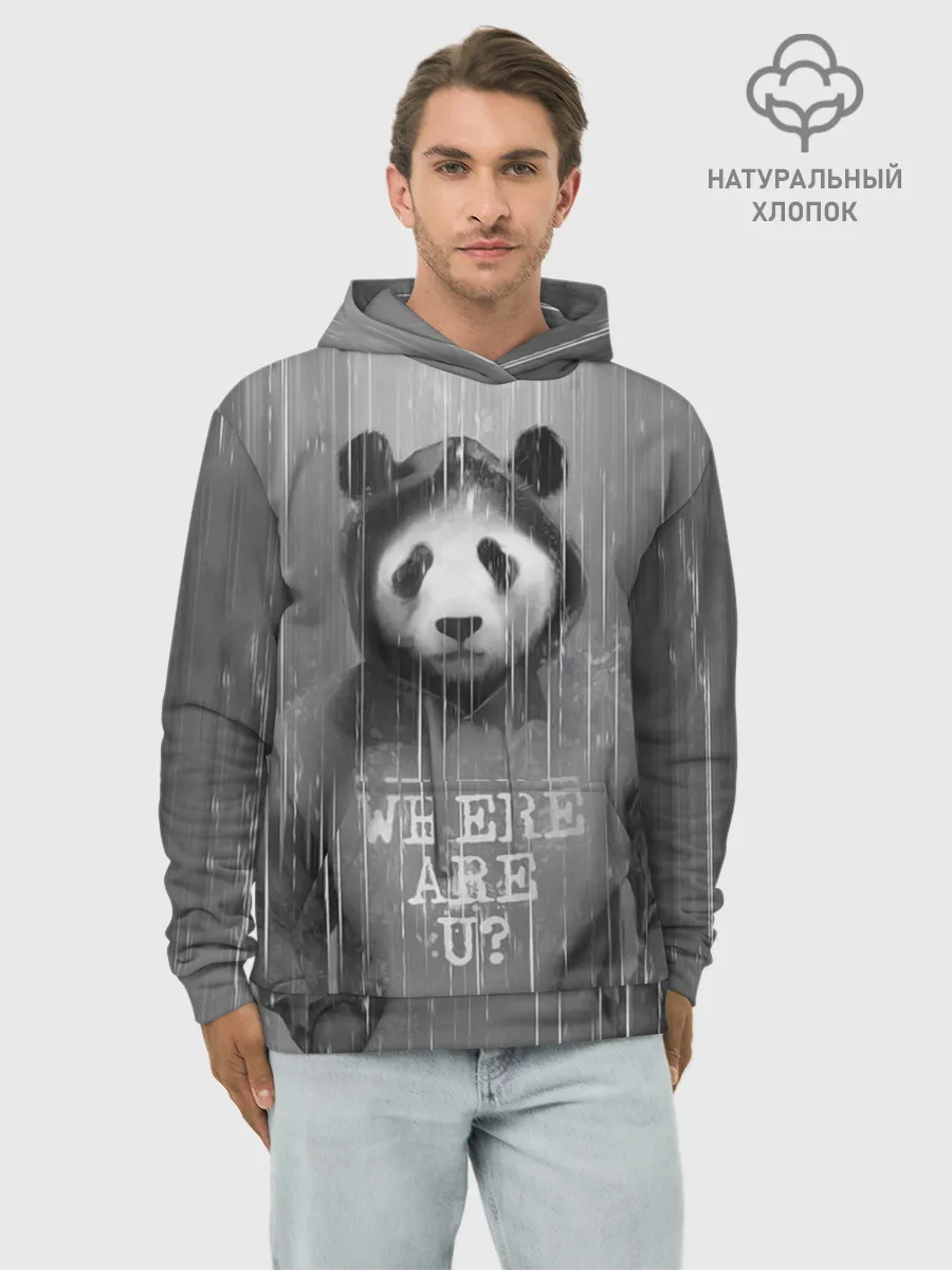 Худи мужской база хлопок / Панда