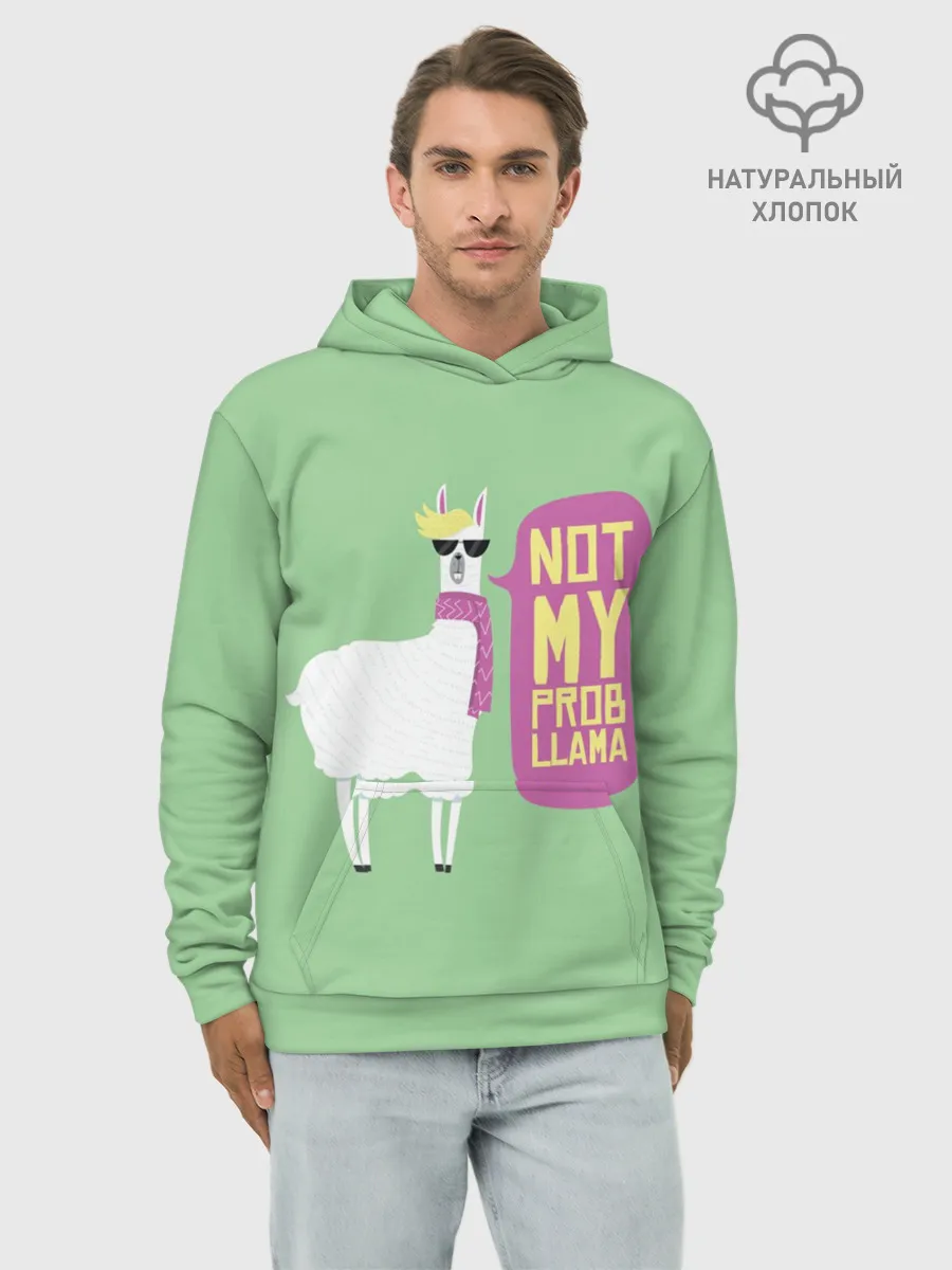 Худи мужской база хлопок / Лама