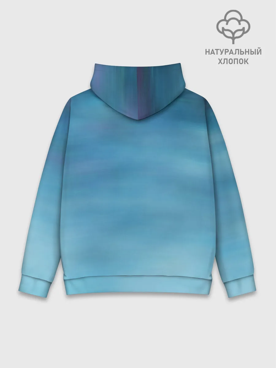 Худи мужской база хлопок / Как приручить дракона