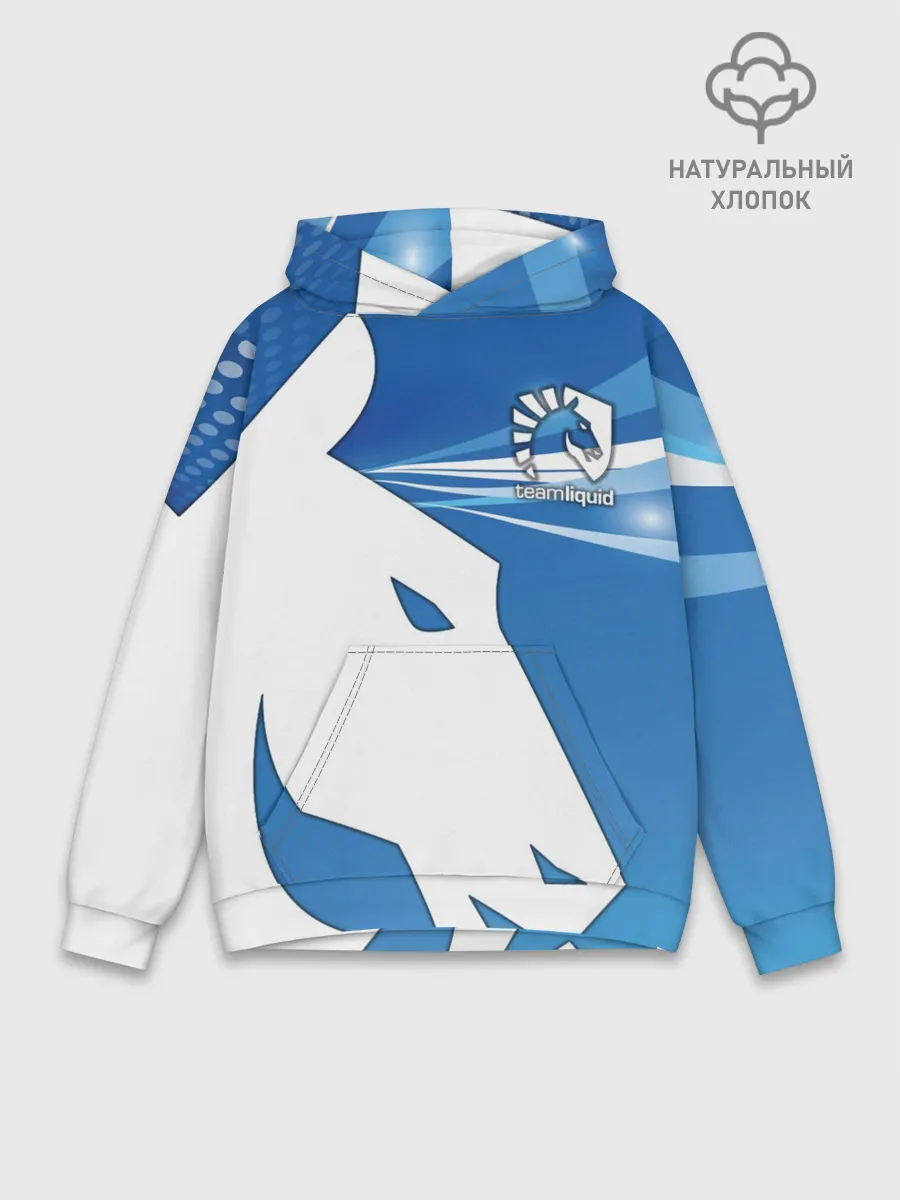 Худи мужской база хлопок / Team Liquid