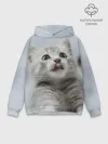 Худи мужской база хлопок / Котенок