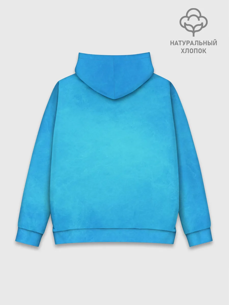 Худи мужской база хлопок / как приручить дракона