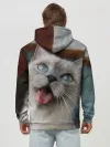 Худи мужской база хлопок / Сиамский котенок