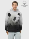 Худи мужской база хлопок / Панда