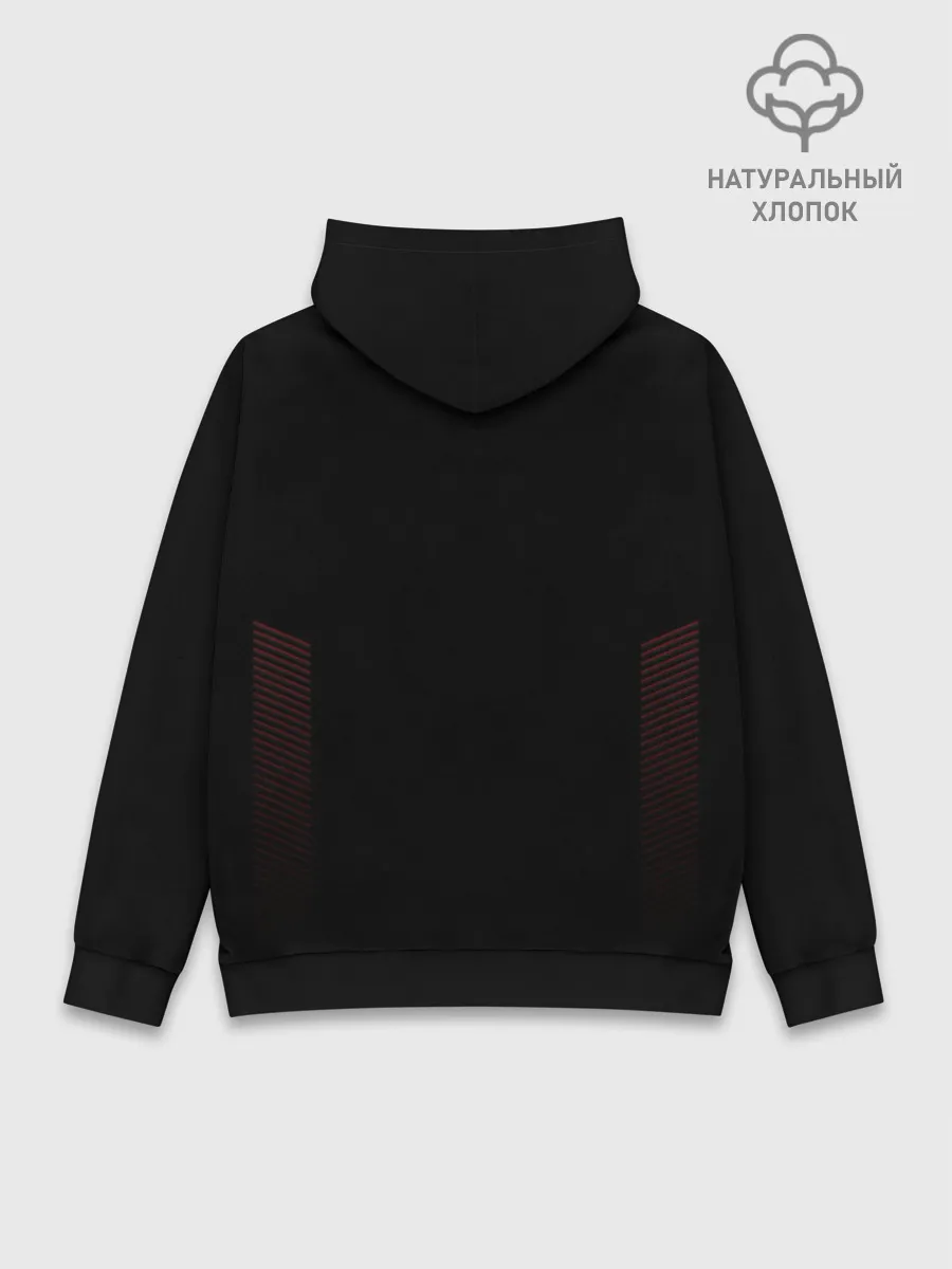 Худи мужской база хлопок / Astralis