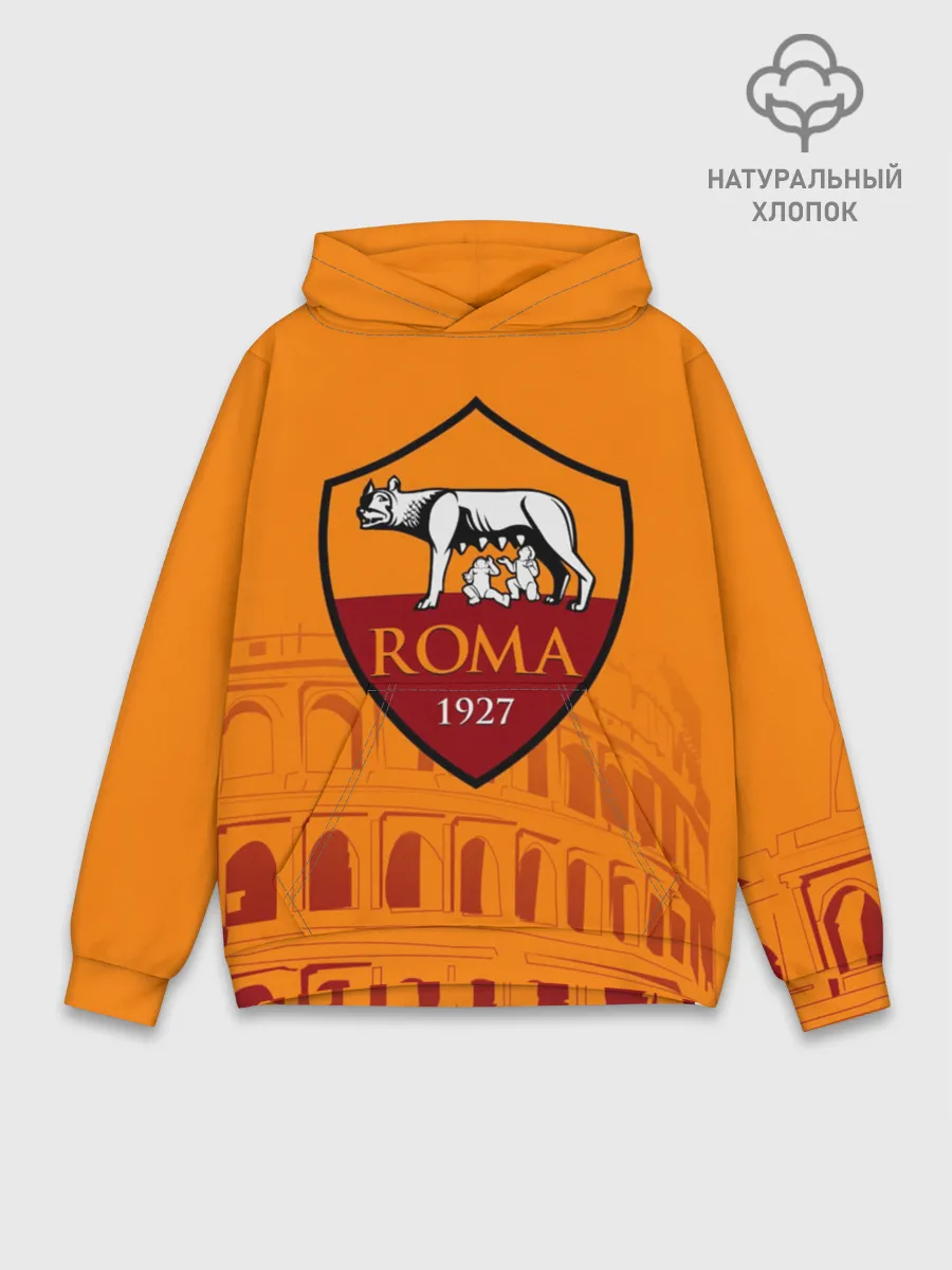 Худи мужской база хлопок / Рома