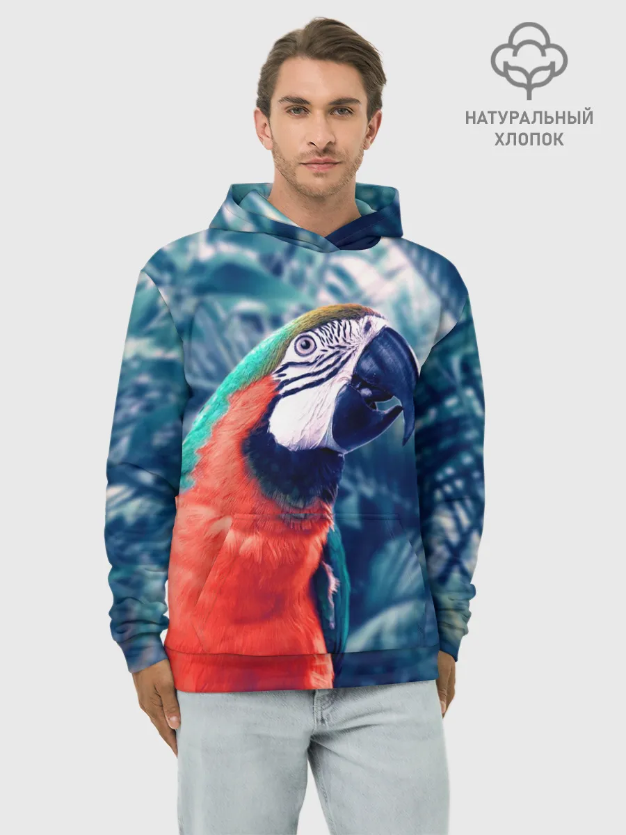 Худи мужской база хлопок / Попугай