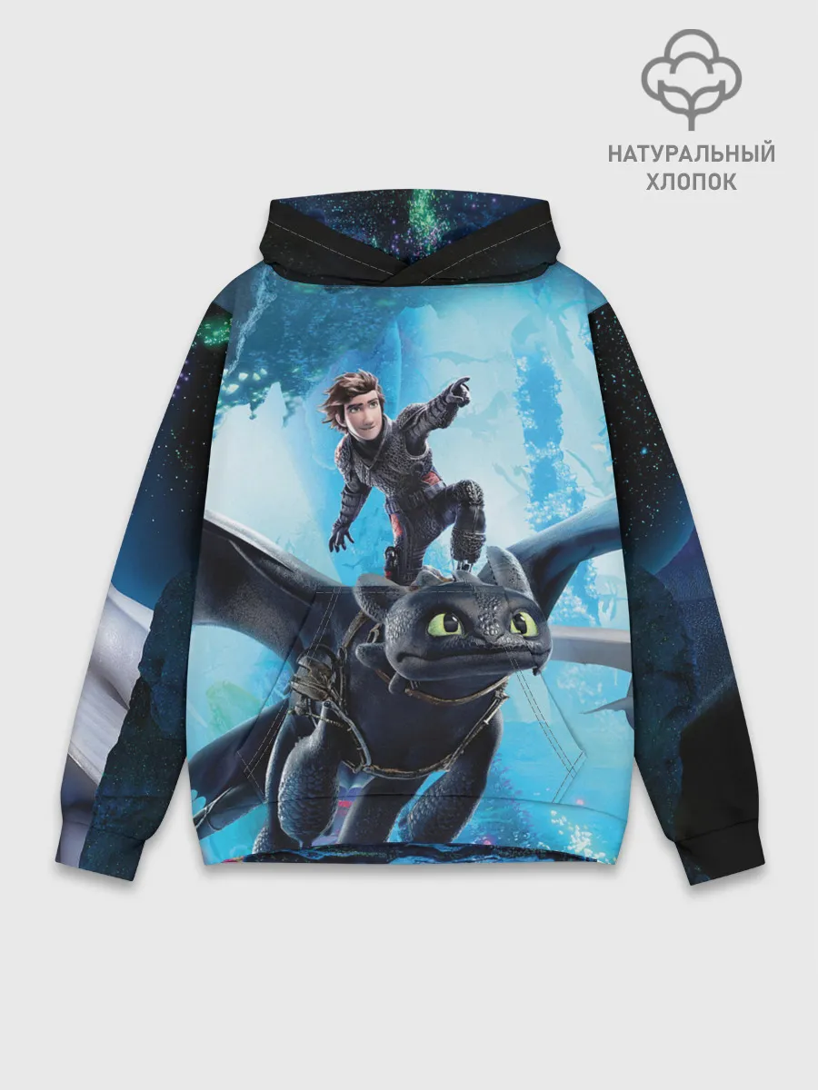 Худи мужской база хлопок / Как приручить дракона 3