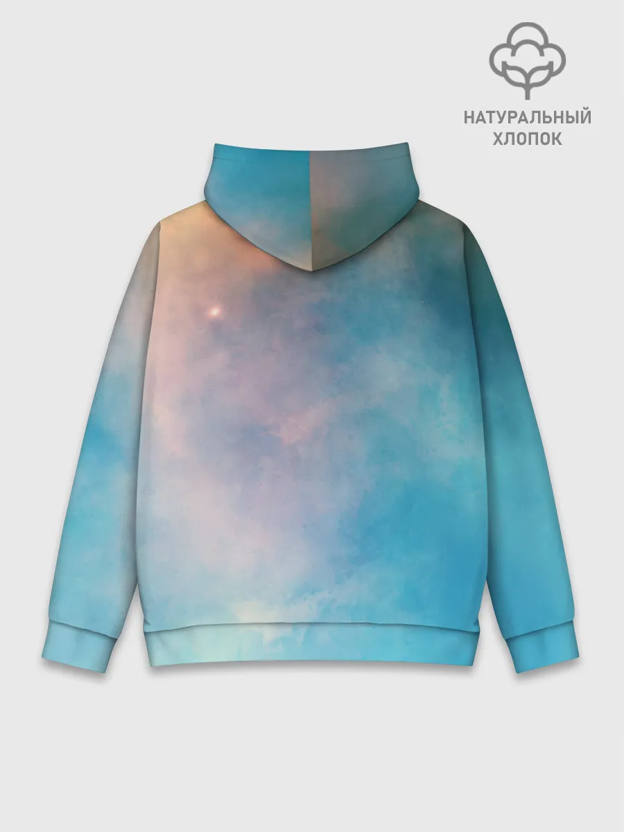 Худи мужской база хлопок / ночная фурия