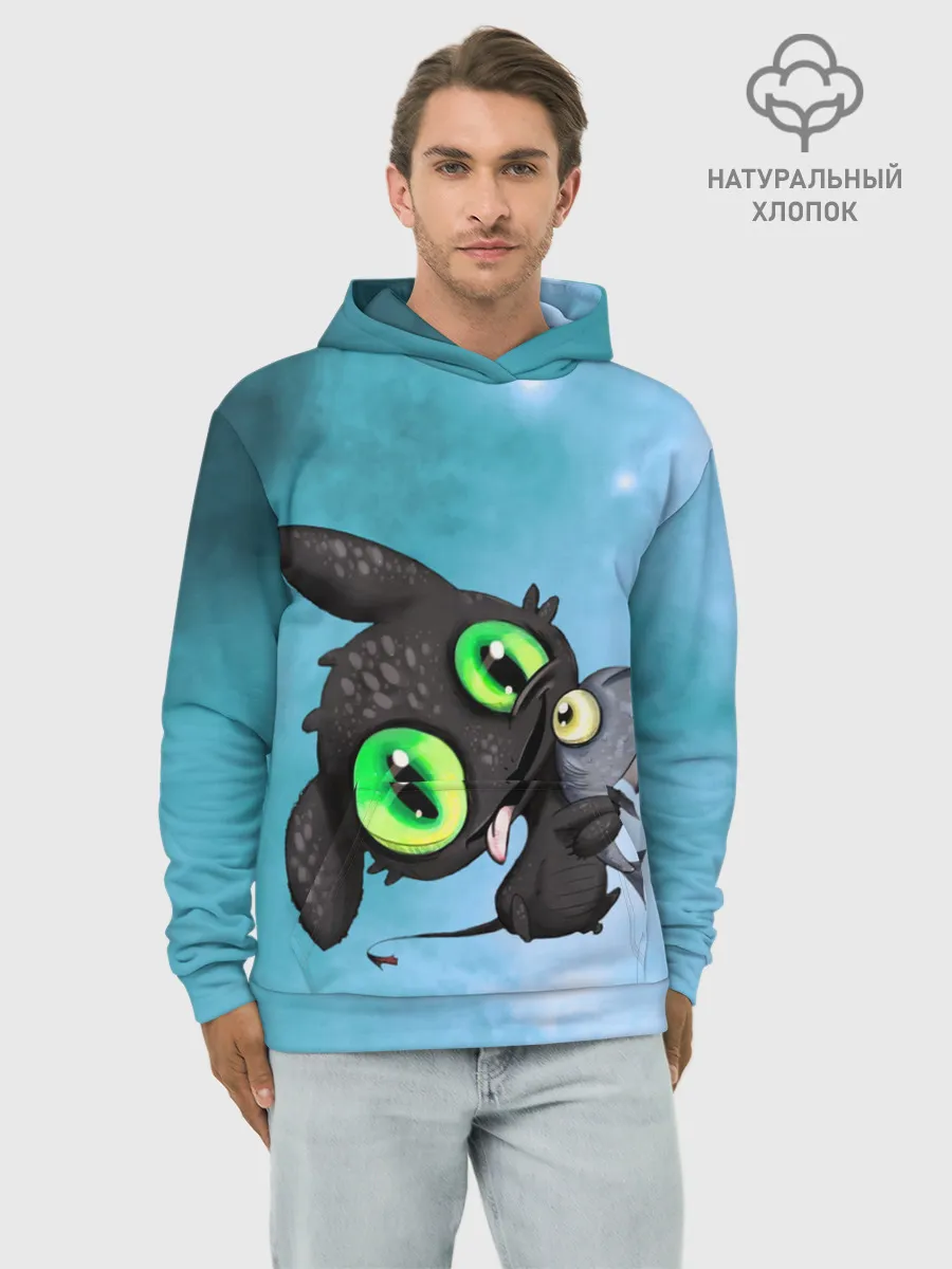 Худи мужской база хлопок / дневная фурия