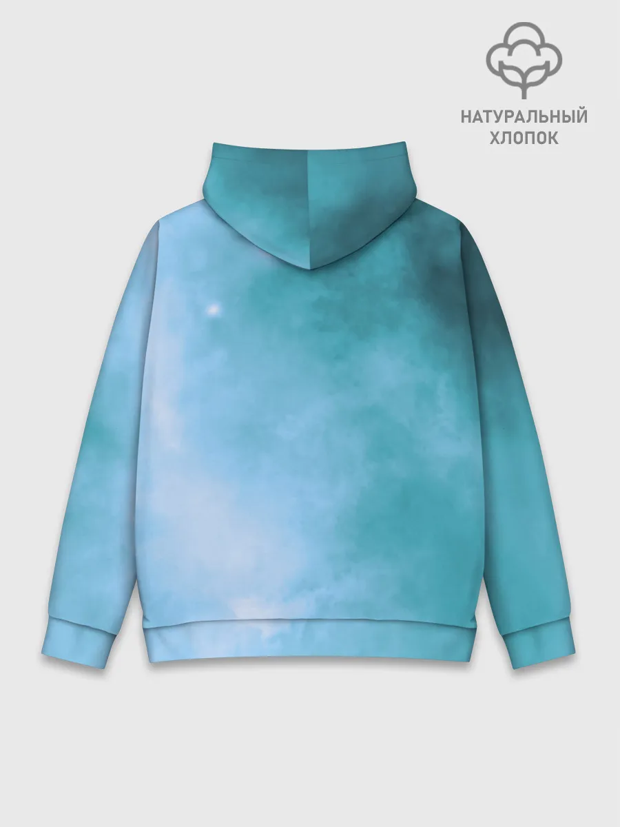 Худи мужской база хлопок / дневная фурия