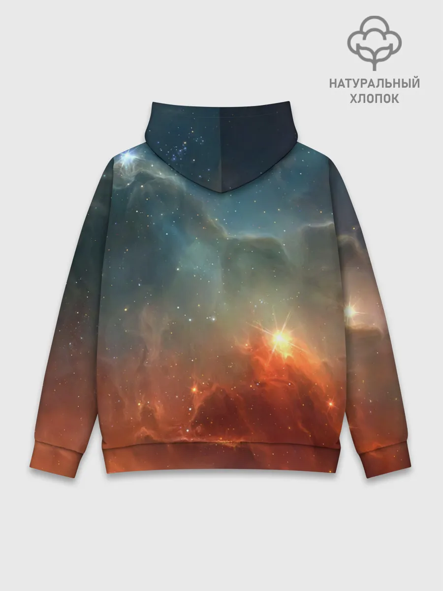 Худи мужской база хлопок / ночная фурия